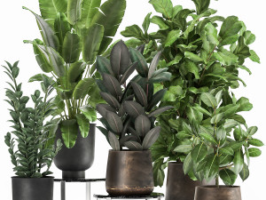 plants in a rusty flowerpot for the interior 1042 3D Model