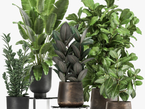 plants in a rusty flowerpot for the interior 1042 3Dモデル