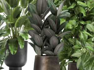 plants in a rusty flowerpot for the interior 1042 3Dモデル