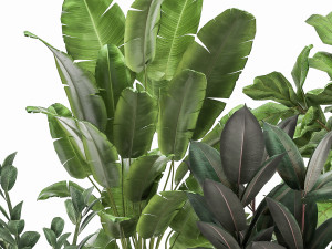 plants in a rusty flowerpot for the interior 1042 3Dモデル