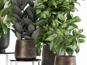 plants in a rusty flowerpot for the interior 1042 3Dモデル