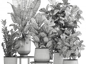 plants in a rusty flowerpot for the interior 1042 3Dモデル