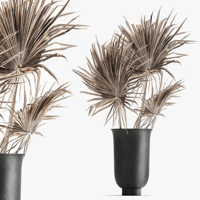 bouquet of dried flowers in a vase 167 3D मॉडल .c4d .max .obj .3ds .fbx .stl .blend 