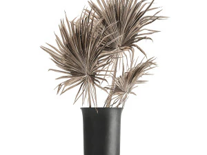 bouquet of dried flowers in a vase 167 3D Model