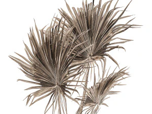 bouquet of dried flowers in a vase 167 3D Model