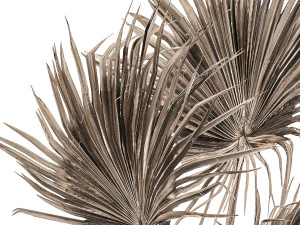 bouquet of dried flowers in a vase 167 3D Model