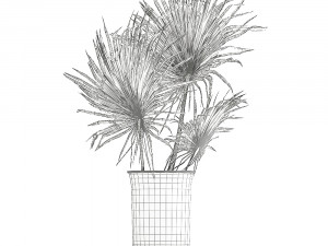 bouquet of dried flowers in a vase 167 3D मॉडल