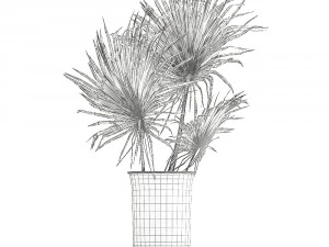 bouquet of dried flowers in a vase 167 3D Model