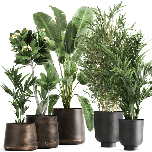 plants in a rusty flowerpot for the interior 1043 Model 3D .c4d .max .obj .3ds .fbx .stl .blend 