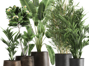 plants in a rusty flowerpot for the interior 1043 3D Model