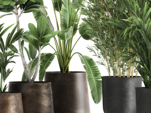 plants in a rusty flowerpot for the interior 1043 Model 3D