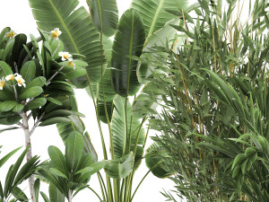 plants in a rusty flowerpot for the interior 1043 Model 3D
