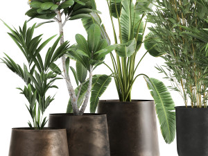 plants in a rusty flowerpot for the interior 1043 Model 3D