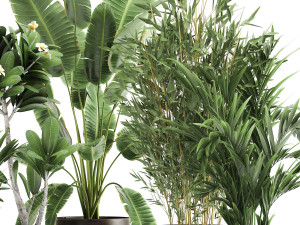plants in a rusty flowerpot for the interior 1043 Model 3D