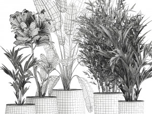 plants in a rusty flowerpot for the interior 1043 Model 3D