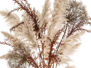 bouquet of dried flowers in a vase 171 3D Model