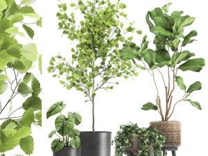 आंतरिक भाग के लिए जंग लगे गमले में पौधे 1044 3D मॉडल