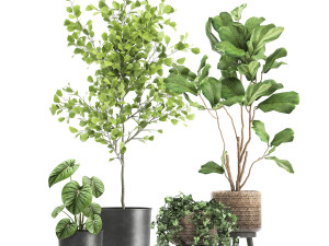 plants in a rusty flowerpot for the interior 1044 3D मॉडल