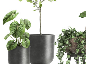 plants in a rusty flowerpot for the interior 1044 3D मॉडल