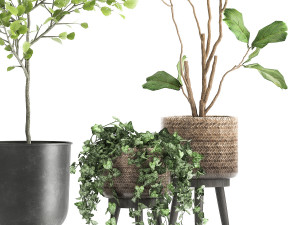 plants in a rusty flowerpot for the interior 1044 3D मॉडल