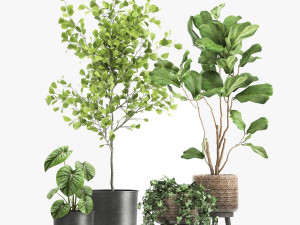plants in a rusty flowerpot for the interior 1044 3D मॉडल