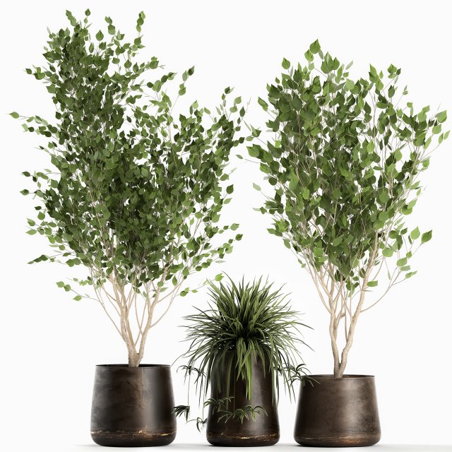 trees in a rust pot for the interior 1046 3D Model .c4d .max .obj .3ds .fbx .stl .blend 