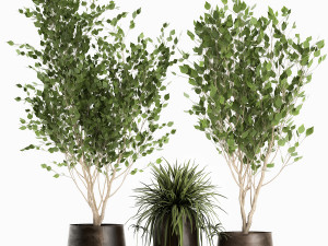 trees in a rust pot for the interior 1046 3D-Modell
