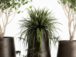 trees in a rust pot for the interior 1046 3D Model