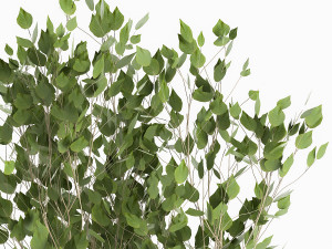 trees in a rust pot for the interior 1046 3D Model