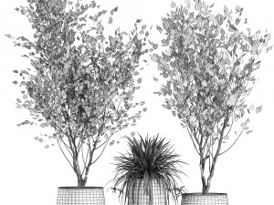 trees in a rust pot for the interior 1046 3D Model