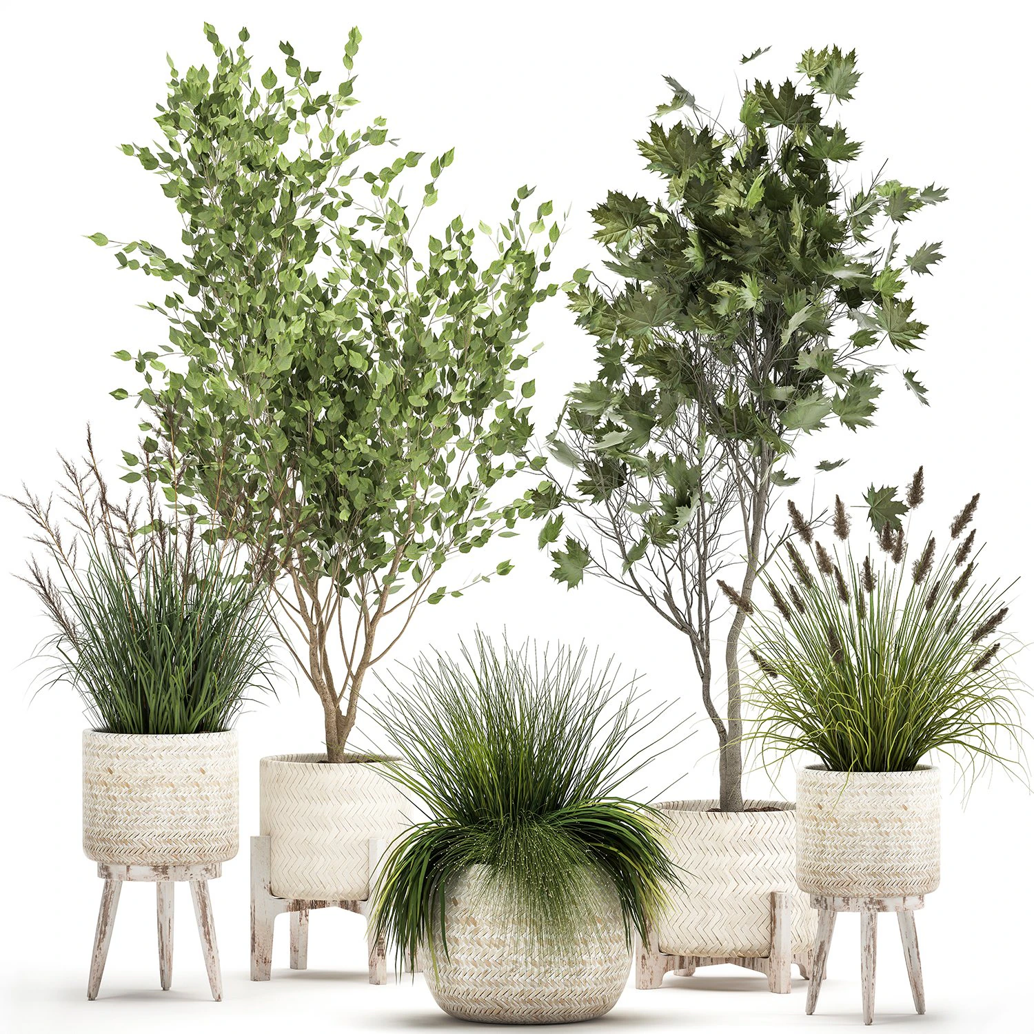 plantas ornamentais em cestos de vime 1047 Modelo 3D .c4d .max .obj .3ds .fbx .stl .blend 