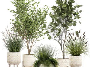 籐かごに入った観葉植物 1047 3Dモデル