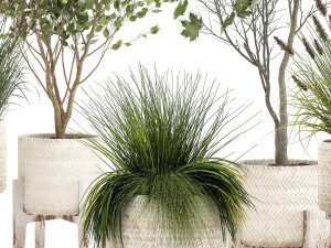 ornamental plants in rattan baskets 1047 Model 3D