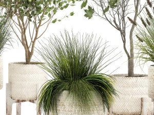 plantas ornamentais em cestos de vime 1047 Modelo 3D