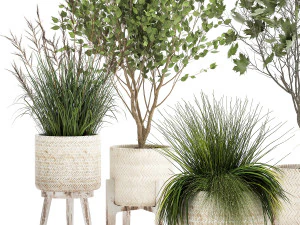plantas ornamentais em cestos de vime 1047 Modelo 3D