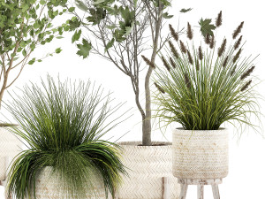 ornamental plants in rattan baskets 1047 Model 3D