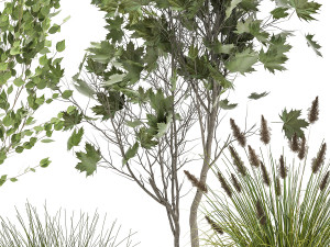 ornamental plants in rattan baskets 1047 Model 3D