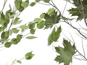 plantas ornamentais em cestos de vime 1047 Modelo 3D