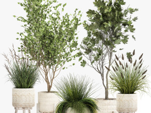 ornamental plants in rattan baskets 1047 Model 3D