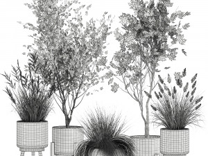 ornamental plants in rattan baskets 1047 Model 3D