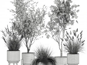 plantas ornamentais em cestos de vime 1047 Modelo 3D