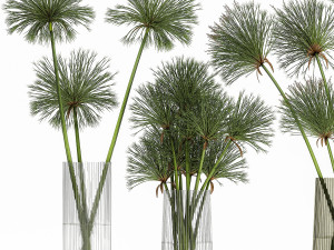decorative bouquet of green flowers in a vase for decor 175 3D Model