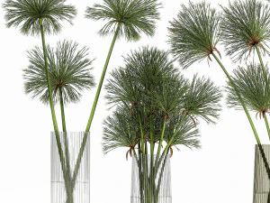 decorative bouquet of green flowers in a vase for decor 175 3D Model
