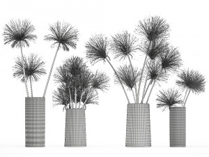 decorative bouquet of green flowers in a vase for decor 175 3D Model