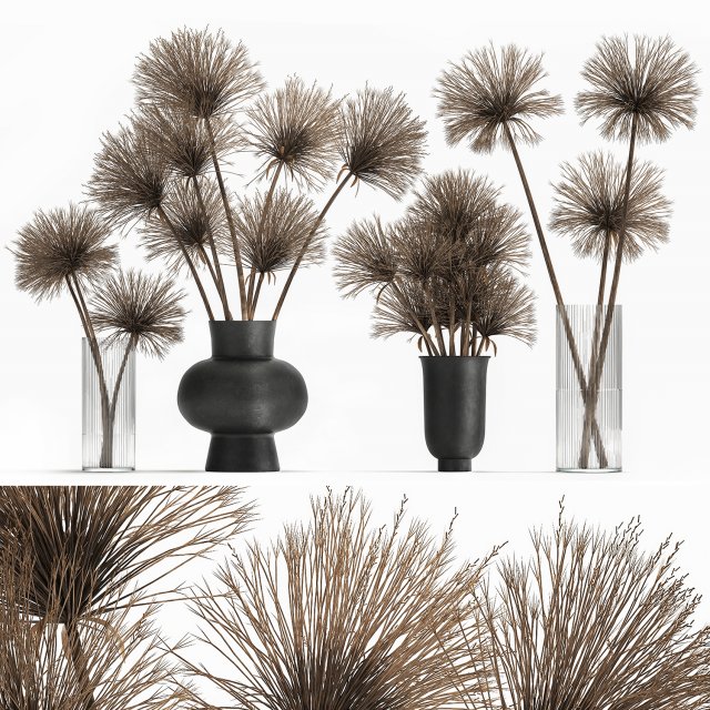 bouquet of dried flowers cyperus in a vase 177 Model 3D .c4d .max .obj .3ds .fbx .stl .blend 
