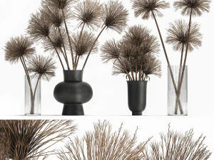 букет із сухоцвітів циперуса у вазі 177 3D Модель