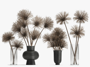 bouquet of dried flowers cyperus in a vase 177 Model 3D