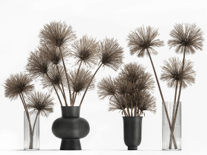 bouquet of dried flowers cyperus in a vase 177 Model 3D