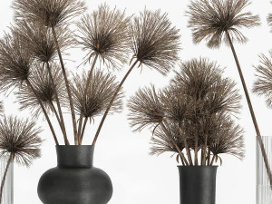 mazzo di fiori secchi di cipero in vaso 177 Modello 3D