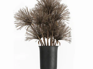 mazzo di fiori secchi di cipero in vaso 177 Modello 3D